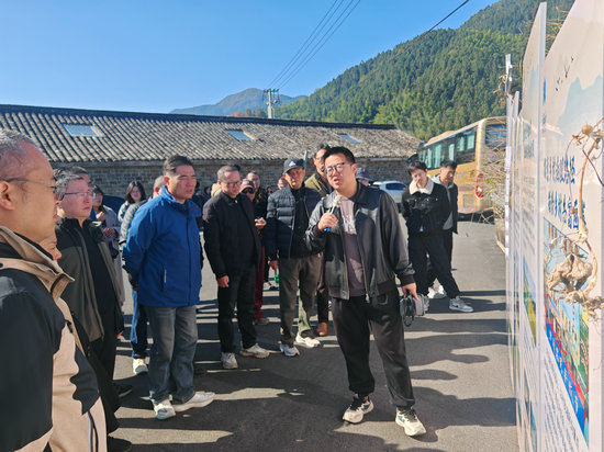 1764058816601857.jpg 2.jpg